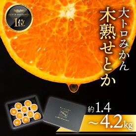 【ふるさと納税】≪先行予約≫ 木熟 せとか すぐ届く みかん 大トロ フルーツ 2025 年 産 ≪選べる 1.4kg~4.2kg≫ 秀品 せとか マルカワ園芸 みかん mikan ミカン 蜜柑 柑橘 柑橘類 贈答 プレゼント フルーツ 旬 果物 高糖度 スイーツ ギフト プレミアム 愛知県 豊橋市
