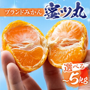 yӂ邳Ɣ[Łzs\₱薨 cہyIׂ 1kg ~ 5kgz ݂ ~J mikan k k t[c ʕ lߍ킹  Gi v[g Ε ƒp 킯 A 