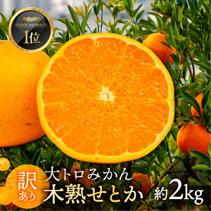 yӂ邳Ɣ[Łzs\g݂w؏nƂxƒp ol 2kg ~J ݂ Ƃ t[c ʕ { mikan 󂠂 PA A m Ls }J|