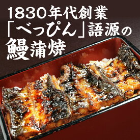 【ふるさと納税】豊橋産 べっぴんうなぎの蒲焼 1尾 〜 3尾 セット 蒲焼 蒲焼き ウナギ うなぎ 愛知 三河 厳選 冷凍 丑の日 鰻 unagi 土用の丑の日 父の日 送料無料 国産 愛知県 豊橋市