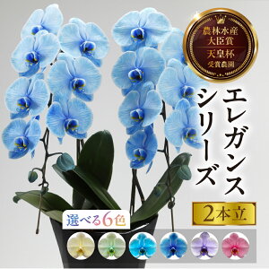 yӂ邳Ɣ[ŁzӒwGKXJ[x 2{ Iׂ6F  t m   Mtg j j 蕨   Ij ACj ij Ê Ď j _꒼