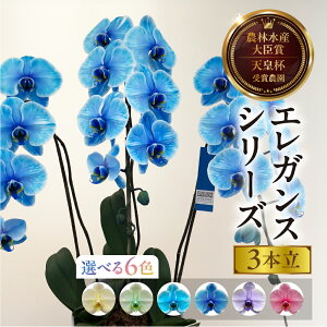yӂ邳Ɣ[ŁzӒwGKXJ[x 3{ Iׂ6F  t m   Mtg j j 蕨   Ij ACj ij Ê Ď j _꒼
