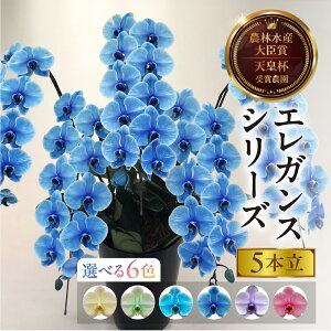 yӂ邳Ɣ[ŁzӒwGKXJ[x 5{ Iׂ6F  t m   Mtg j j 蕨   Ij ACj ij Ê Ď j _꒼