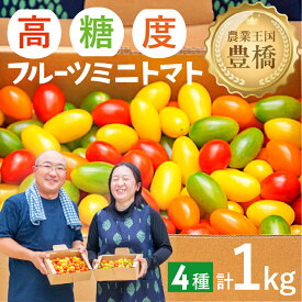 【ふるさと納税】≪先行予約≫ MAKINO トマト ミックス 4種 高糖度 こだわり トマト とまと tomato 道の駅とよはし 愛知県 豊橋市 送料無料 10000円