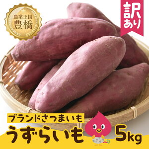 yӂ邳Ɣ[Łzss\t󂠂 ܂ 5kg yt n uh  炢 x Â Ă XC[g|eg Ȃǂ ȈՕ ̂ꂽ Yn ̉wƂ͂ m L