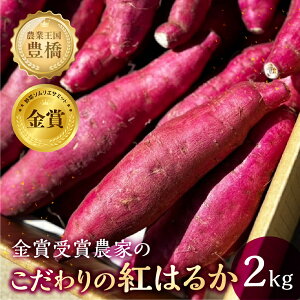 yӂ邳Ɣ[Łzss\t܎ g͂邩 2kg n ܂邫 ɓ_ Tc}C ܂  x Â Ă XC[g|eg Ȃǂ ̂ꂽ Yn ̉wƂ͂ m