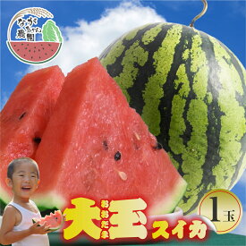 【ふるさと納税】≪先行予約 2026年発送≫ ながちゃん農園の 大玉スイカ 1玉｜すいか 西瓜 スイカ くだもの フルーツ 果物 旬 夏 スイーツ 1万円 10000円 愛知県 豊橋市
