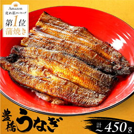 【ふるさと納税】国産 うなぎ 蒲焼 2尾 3尾 ~450g 父の日 夏目商店 蒲焼 国産うなぎ 海鮮 ウナギ 鰻 長蒲焼 年内発送 年内配送 年内 発送時期が選べる 豊橋うなぎ 冷凍 母の日 父の日 丑の日 惣菜 unagi まだ間に合う 期間限定 愛知 豊橋市