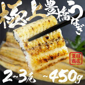 【ふるさと納税】 極上 豊橋うなぎ 白焼 選べる尾数 2尾 〜 3尾 岩塩 付き 厳選 国産 鰻 ウナギ うなぎ 鰻 白焼き 最高級 ひつまぶし 土用丑の日 ギフト 冷凍 増量 丑の日 簡単調理 父の日 こだわり 人気 豊橋うなぎ unagi お取り寄せ 送料無料 愛知県 豊橋市