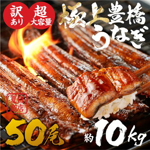【ふるさと納税】 極上 豊橋うなぎ 蒲焼 50尾 約10kg 厳選 国産 鰻 簡易包装 訳あり ウナギ うなぎ 鰻 蒲焼 夏目商店 ギフト 配布 最高級 ひつまぶし 土用丑の日 ギフト 冷凍 増量 丑の日 簡単調