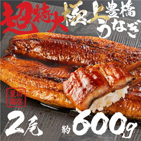【ふるさと納税】希少 極上 豊橋うなぎ 特大 2尾 ~600g蒲焼 厳選 国産 鰻 簡易包装 訳あり ウナギ うなぎ 鰻 蒲焼 夏目商店 ギフト 配布 最高級 ひつまぶし 土用丑の日 ギフト 冷凍 増量 丑の日 簡単調理豊橋うなぎ unagi お取り寄せ 送料無料 愛知県 豊橋市