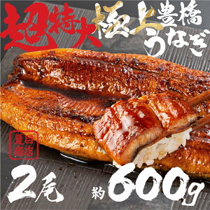 yӂ邳Ɣ[Łz ɏ LȂ  2 ~600g I Y V ȈՕ 󂠂 EiM Ȃ V  ĖڏX Mtg zz ō Ђ܂Ԃ ypN̓ Mtg Ⓚ  N̓ 