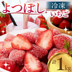 【ふるさと納税】＜先行予約＞冷凍いちご よつぼし 苺 1kg 冷凍 国産 豊橋産 真空パック 甘い ヘルシー 健康 おやつ おいしい デザート 手軽 ヨーグルト や シリアル に ビタミンCが豊富 豊橋市 小分け 簡易包装 訳あり