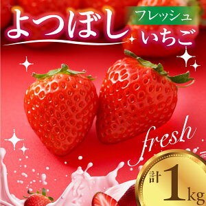 【ふるさと納税】<先行予約>いちご よつぼし 苺 1kg 新鮮 冷蔵 国産 甘い ヘルシー 健康 おやつ おいしい デザート ビタミンC ポリフェノール 抗酸化 豊橋市 小分け 簡易包装 訳あり