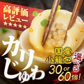 【ふるさと納税】高評価★4.67 国産 焼 小籠包 数量選べる 30個 or 60個 小籠包 中華 おかず 冷凍　簡単調理　本格　肉汁 点心 食品 冷凍 業務用 簡単 お手軽 晩ごはん 大容量 選べる 訳あり 絶品 国産 国産豚肉 たっぷり 愛知県 豊橋市 10000円 15000円 1万円 1万5千円