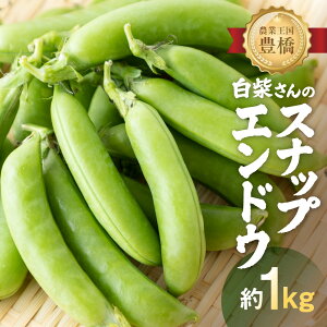 【ふるさと納税】≪先行予約≫スナップエンドウ 約1kg 産地直送 スナップ スナックエンドウ エンドウ 豆 サラダ 美味しい 料理 野菜 健康 栄養 簡単 農家直送 1キロ 高糖度 糖度 1万円 10000円