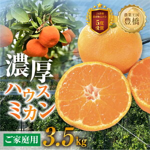 yӂ邳Ɣ[Łzs\ 2026NnEX~J ƒp 3.5kg 󂠂 ݂ nEX݂ IW Y t[c ʕ  x Â Z r^~ k Yn {  W