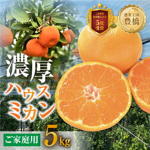 yӂ邳Ɣ[Łzs\ 2026NnEX~J ƒp 5kg 󂠂 5L ݂ nEX݂ IW Y t[c ʕ  x Â Z r^~ k Yn { 