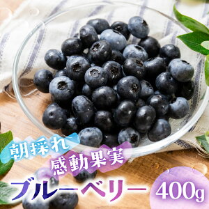 yӂ邳Ɣ[Łzs\ 2026N u[x[ 400g 6`8 p 100g×4pbN u[x[ _ m Ls