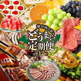 【ふるさと納税】豊橋 どうまい 定期便 プレミアム 全12回 鴨 / せとか / いちご / スイーツ / お好み焼き / スイカ / うなぎ / チキン / シャインマスカット / ちくわ / 牛肉 定期 高評価 お楽しみ すき焼き むきえび 冷凍 1年 12回 愛知県 豊橋市 送料無料 250000円