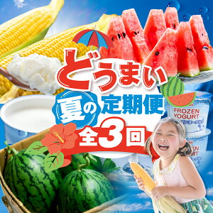yӂ邳Ɣ[Łzǂ܂ Ă̖o  S3  / Ƃ낱 / ACXN[ / Ƃ낱 S[hbV x ̂ XCJ ʃXCJ VXCJ t[Y[O