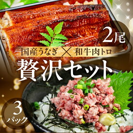 【ふるさと納税】国産うなぎ & 牛肉トロ セット うなぎ 肉トロ 訳あり 蒲焼 2尾 牛トロ 3パック ウナギ 鰻 蒲焼き 土用丑の日 丑の日 簡単調理 惣菜 おつまみ 牛フレーク 生肉 生食用 生食 レア unagi 暑さ 対策 贅沢 簡単調理 惣菜 愛知県 豊橋市