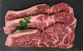 【ふるさと納税】豊橋牛（とよはしうし） ロースステーキ 200g×3枚