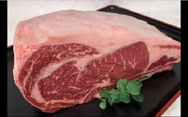 【ふるさと納税】豊橋牛（とよはしうし） ロース塊ブロック肉　ガッツリ食べたい　1．5kg！