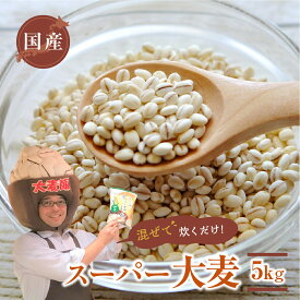 【ふるさと納税】国産スーパー 大麦 毎日食べたいたっぷり 5kg 食物繊維 たっぷり 麦 麦ごはん 大麦 ビューファイバー 雑穀米 健康 愛知県 豊橋市