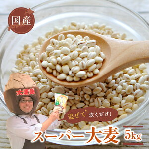 yӂ邳Ɣ[ŁzYX[p[ 唞 HׂՂ 5kg H@ Ղ  ͂ 唞 r[t@Co[ G N m Ls
