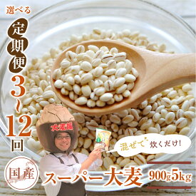 【ふるさと納税】国産スーパー 大麦 1.8kg 【定期便が選べる 3回〜12回】食物繊維 たっぷり 麦 麦ごはん 大麦 ビューファイバー 雑穀米 健康 定期便 麦 3回 6回 12回 愛知県 豊橋市