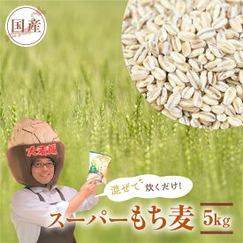 【ふるさと納税】国産スーパー もち麦 毎日食べたいたっぷり 5kg 食物繊維 たっぷり もちむぎ 雑穀米 健康 愛知県 豊橋市