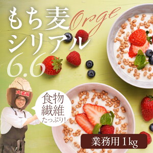 yӂ邳Ɣ[ŁzY X[p[ VA6.6 1kg   VA ͂ N H H@ 󂠂 PA 킯 Ɩp m Ls 15000~