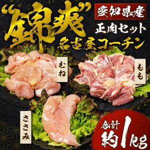 yӂ邳Ɣ[ŁzÉR[` Zbg 800g Y  ނ  {   1kg 1L  l  ނ˓  Ƃ肳 uh{ n{ uhn{ Ƃ Ƃނ 