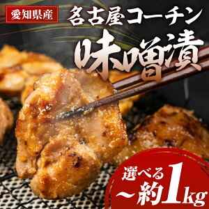 yӂ邳Ɣ[ŁzÉR[`X 400g ~ 800g t t t t Y  ނ {   1kg 1L  l  ނ ÉR[` n{ uhn{ Ƃ 