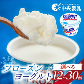 【ふるさと納税】☆4.9 中央製乳 フローズンヨーグルト 選べる 12個 30個 高評価 アイス スイーツ ヨーグルト 牛乳 使用 大容量 自宅用 簡易包装 訳あり 乳酸菌 乳 健康 腸活 デザート 人気 アイスクリーム おかし 大容量 豊橋市 8500円 15000円