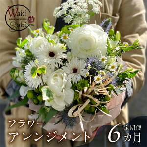 yӂ邳Ɣ[Łzaэ t[AWg  3`6 Ԃ̒ 񐔑Iׂ 3 6  t[AWg ԑ CeA u[P  t[Mtg j