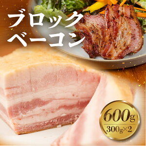 yӂ邳Ɣ[ŁzubNx[R 600g W[V[ Y 10000~ e 󂠂  ̐H H ٓ ӎ ܂ T_ NX}XENNñI[hu Wu