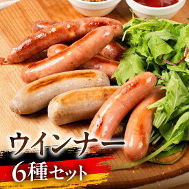 【ふるさと納税】ウインナーセット 国産 ビールに合うソーセージ 本場 ドイツ BBQ 本格