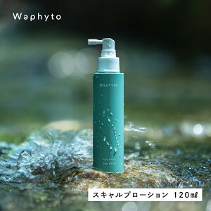 yӂ邳Ɣ[ŁzWapnyto XLv[V 120ml tBg