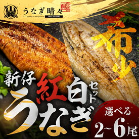 【ふるさと納税】『うなぎ晴々』紅白セット ＼★4.67（12月15日時点）ランキング 掲載／ 希少 蒲焼 白焼 厳選 国産 新仔 若うなぎ 鰻 土用丑の日 お祝い 贈答 ギフト 冷凍 豊橋うなぎ ごちそう