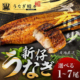 【ふるさと納税】＼★4.9（10月15日時点）高評価／ 『うなぎ晴々』希少 蒲焼 白焼 厳選 国産 山義養魚 新仔うなぎ 若うなぎ 鰻 簡易包装 ウナギ うなぎ 鰻 蒲焼 ギフト ひつまぶし 土用丑の日 ギフト 冷凍 丑の日 簡単調理 豊橋うなぎ お取り寄せ 送料無料 豊橋 年末配送