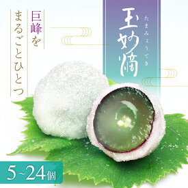 【ふるさと納税】玉妙滴 5個入 12個入 16個入 24個入 スイーツ 和菓子
