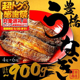 【ふるさと納税】★4.6 指定日OK! 国産 うなぎ 蒲焼 土用の丑の日 2尾 3尾 ~450g 夏目商店 蒲焼 国産うなぎ 海鮮 ウナギ 鰻 長蒲焼 年内発送 年内配送 年内 発送時期が選べる 豊橋うなぎ 冷凍 母の日 父の日 丑の日 惣菜 unagi まだ間に合う 期間限定 愛知 豊橋市