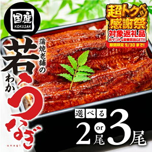 yӂ邳Ɣ[Łz ͂Iׂ YႤȂ 2 / 3 V YȂ unagi  EiM Ⓚ yp N̓ yp̉N̓ Nz N Nz V Y  Ε  L