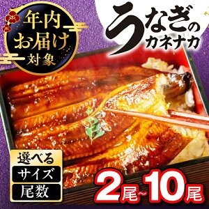 yӂ邳Ɣ[ŁzIׂ N YȂ 2~10 ^ERt V Ȃ unagi Y EiM  yp̉N̓ yp N̓  N ȏd Ș Ђ܂Ԃ Ⓚ 11 12 j