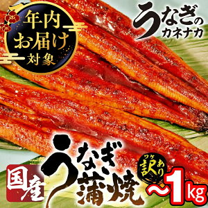 yӂ邳Ɣ[Łz󂠂 Y Ȃ ~10 ~1L  Ȃ m O { É Yn ܂  s 2 3 4 5 6 8 10  Ⓚ N̓ V unagi 킯 KiO yp