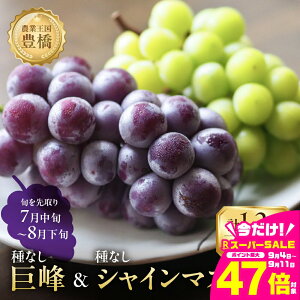 yӂ邳Ɣ[Łzs\ 2026NY₽Ղ1.2kg LY 炲 ȂVC}XJbg300g×2 햳300g×2 uhE Ԃǂ }XJbg t[c Â 1.2L ʕ Ls m M
