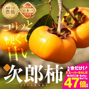 yӂ邳Ɣ[Łzs\ Yʓ{ LΊY Y` p 5kg ` 󂠂 s (15`25) Ê` ʕ t[c PA A { 10 11 10000~ 1~ JL m Ls