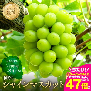 yӂ邳Ɣ[Łzs\ 2026N₽Ղ1.2kg LY 炲 Ȃ VC}XJbg300g×4 uhE Ԃǂ }XJbg t[c Â 1.2L ʕ Ls m Mtg v[